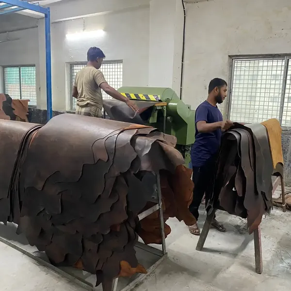 Tannery Pictures