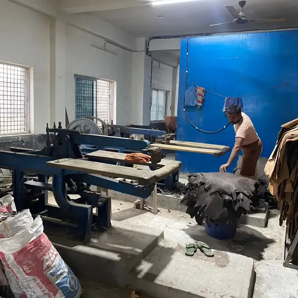 Tannery Pictures