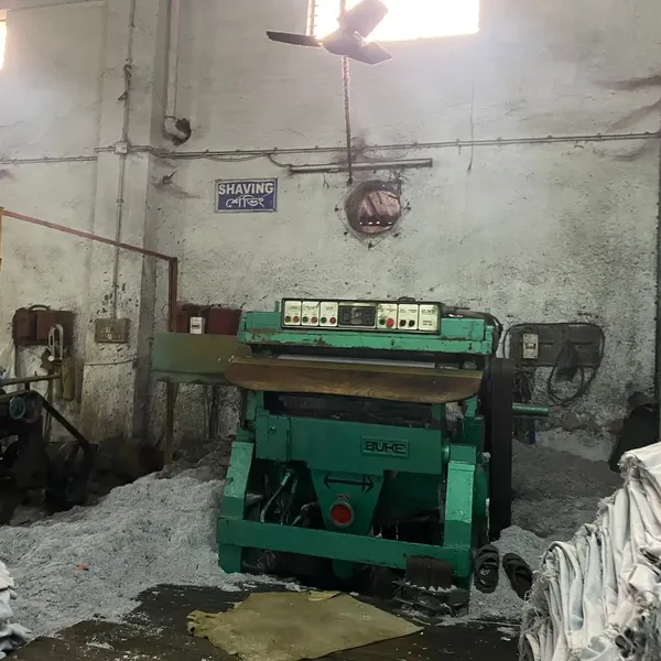 Tannery Pictures