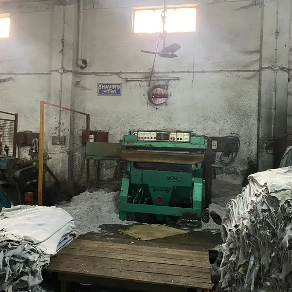 Tannery Pictures