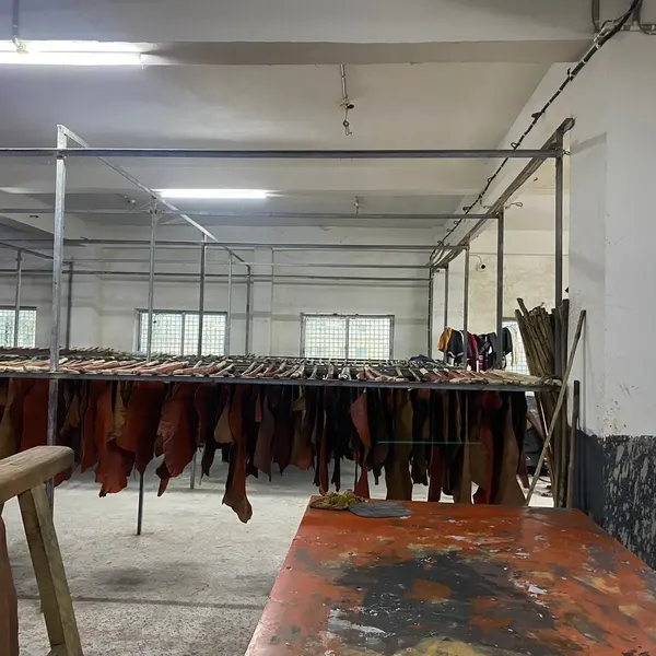 Tannery Pictures
